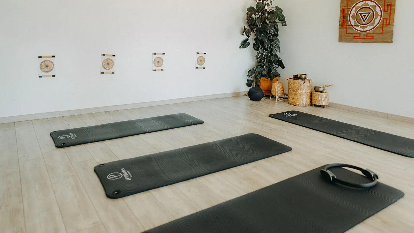 Vue du studio de pilates avec tapis et ballons à Allauch